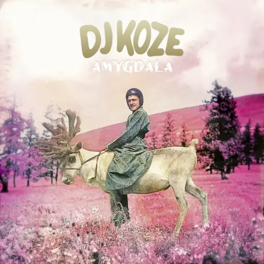 Dj Koze - Amygdala, album art.