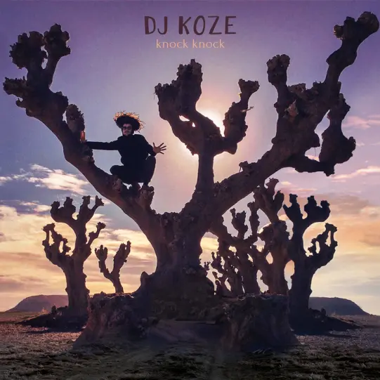 Dj Koze - Knock Knock, album art.