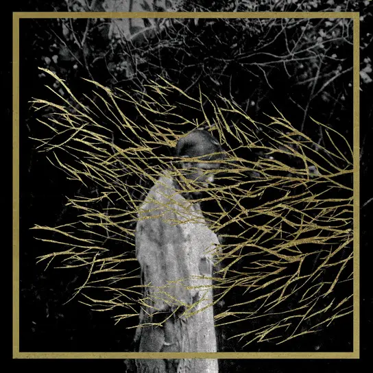 Forest Swords - Engravings, album art.