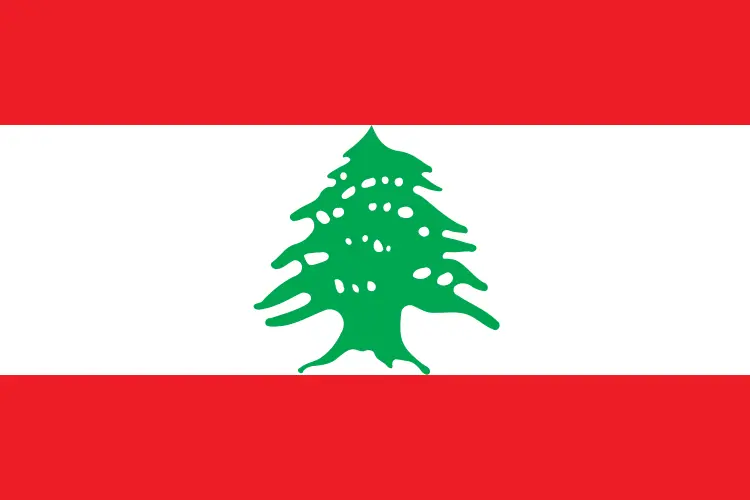 64655b191aa284c6ff5fffbe649d48de0bfd17e28c4cf72f637a69d73d80e92b.png