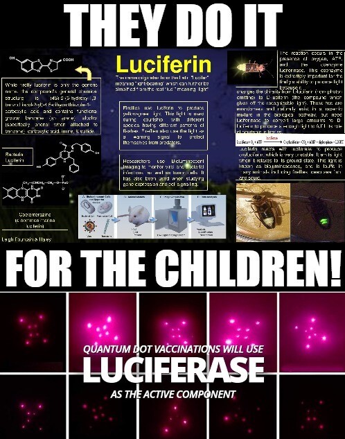 fc9a1f00ee02326263cde58c457b9c872b2e02007543158e4c1e918585eed5a3.jpeg