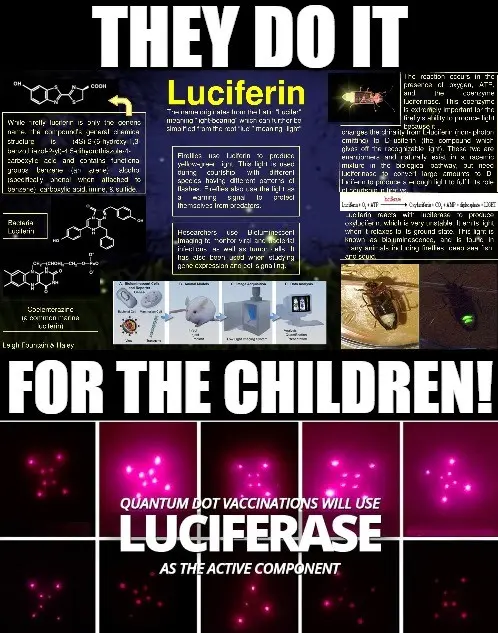 fc9a1f00ee02326263cde58c457b9c872b2e02007543158e4c1e918585eed5a3.jpeg
