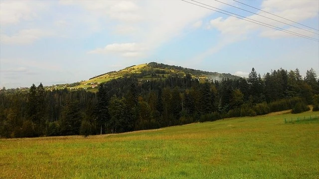 190903265-14add49482bb53c1aaf27626c524f97c87f694af2eccbcc7623c99b2e72d0509.jpeg