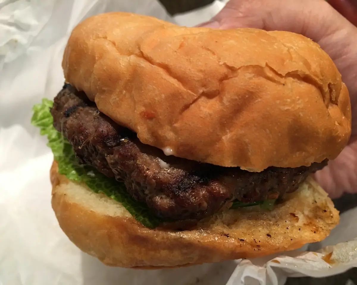 Teri Burger