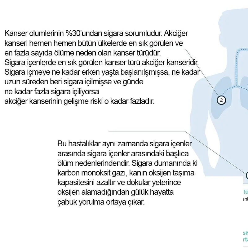 Tütüne son tablet kullananlar memnun mu