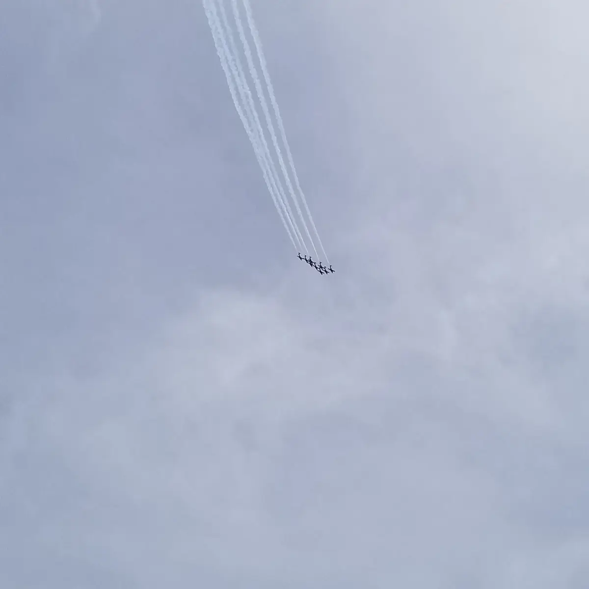1f646fd02571ccb5c2d18ea8ed6bb69389de30322e4023e7782bfad1dd3b3d22.jpeg