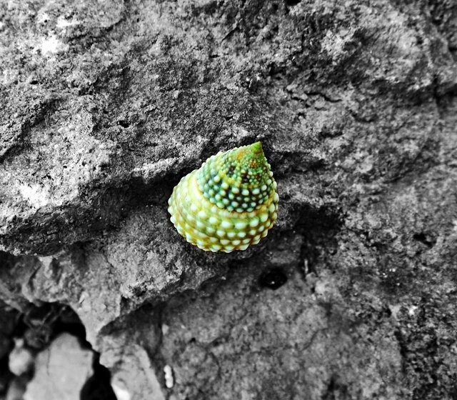 190903265-4f4df2d8dfbb56ef670a11df71eb09c5b8adcad04b207325df57e9dc3006b8be.jpeg