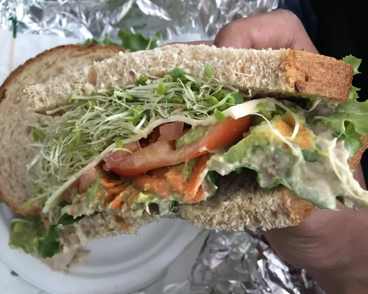 Ahi Avocado Tomato Cheese Sandwich