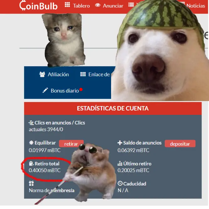 COINBULB