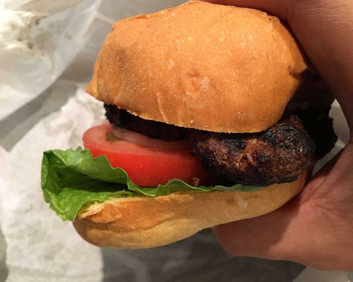 Teri Burger