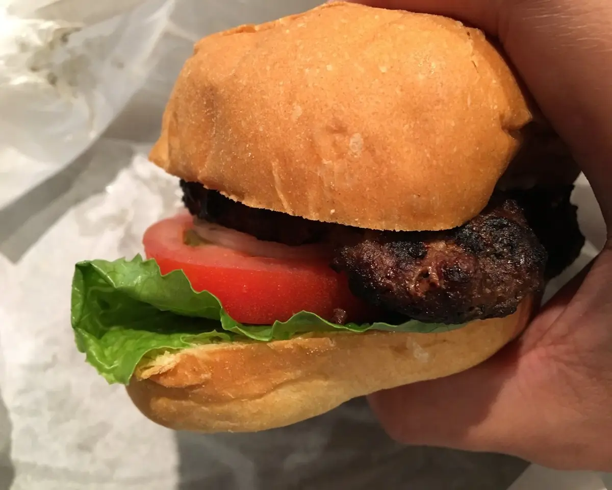 Teri Burger