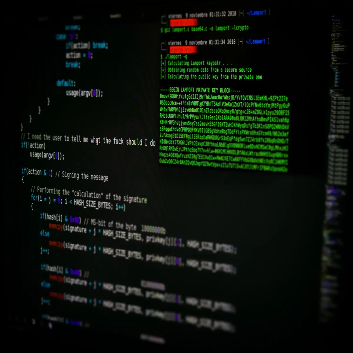 e7893c97ff1f249f4d4716f7a6c25263c14bdbfa6b7796e2c6b026df53815eff.jpeg