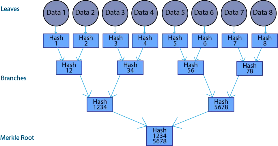 Merkle Tree Example