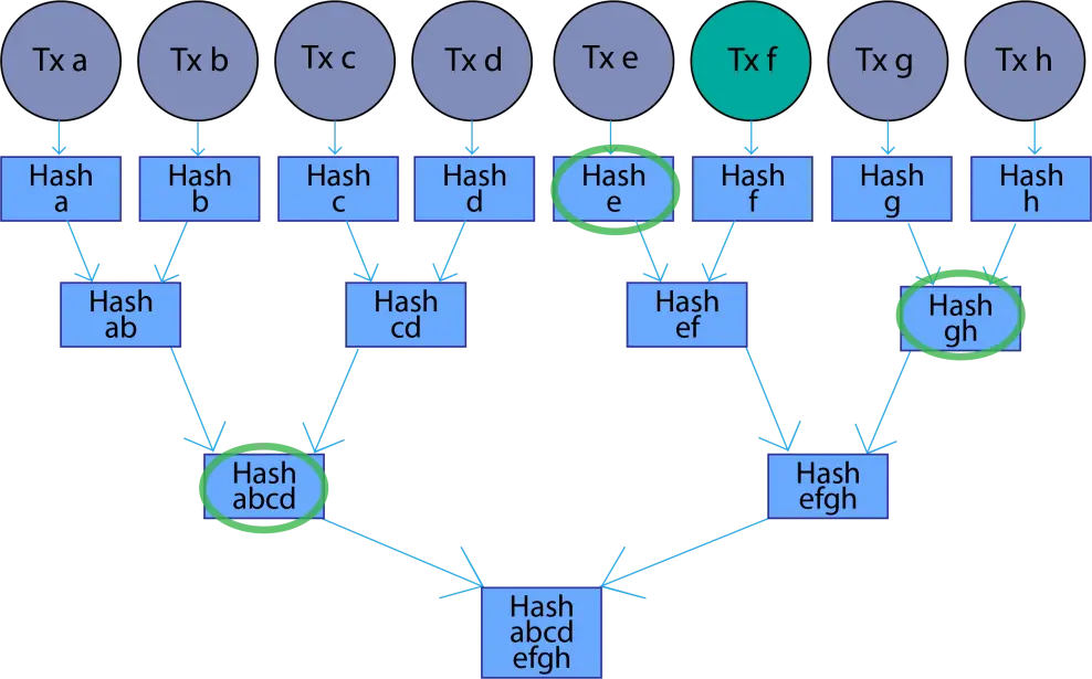 1b772f25d4c7d6a4a8750a2caf36b2ee6e5c6d15ee80ec63588ce0475b813e80.png