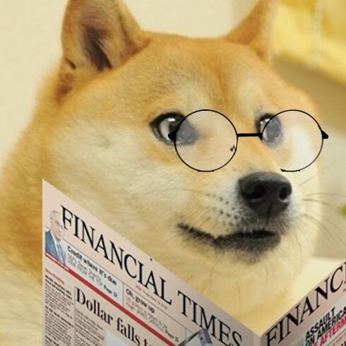 image of doge reading financial times