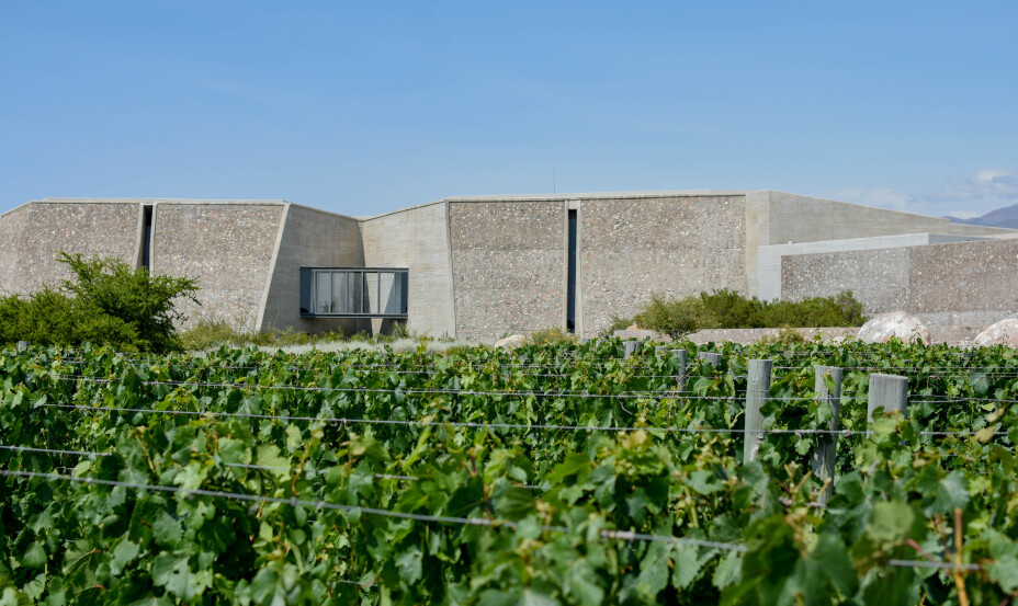 Bodega Piedra Infinita, Familia Zuccardi