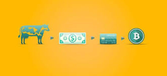 https://www.getrevue.co/