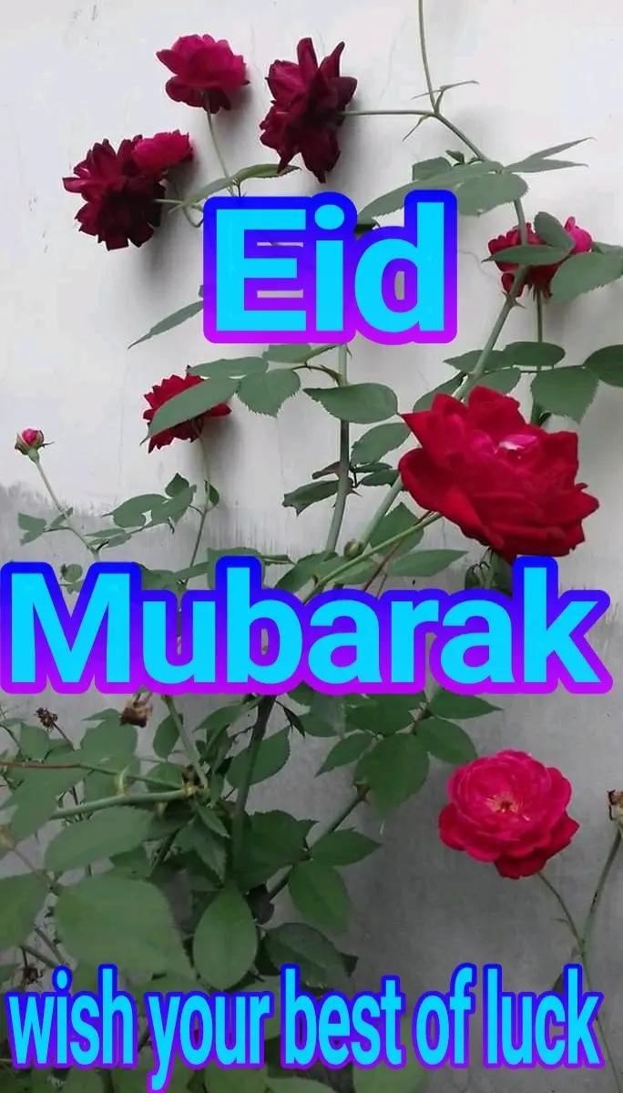 46a61300e6fec512d048d9f1068dbae34fd8294cb163ecde5319a77b4109aef8.jpeg