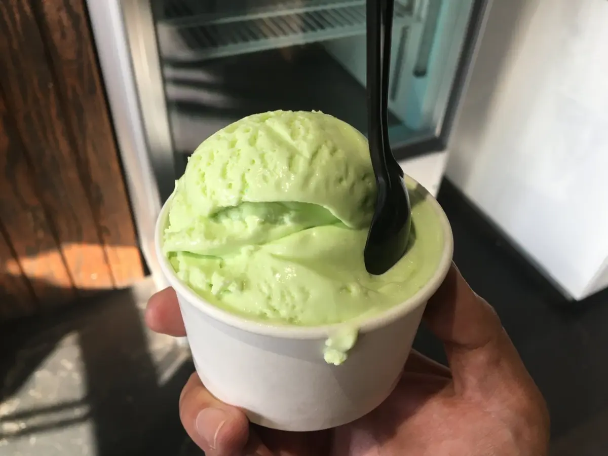 Honeydew Ice Cream