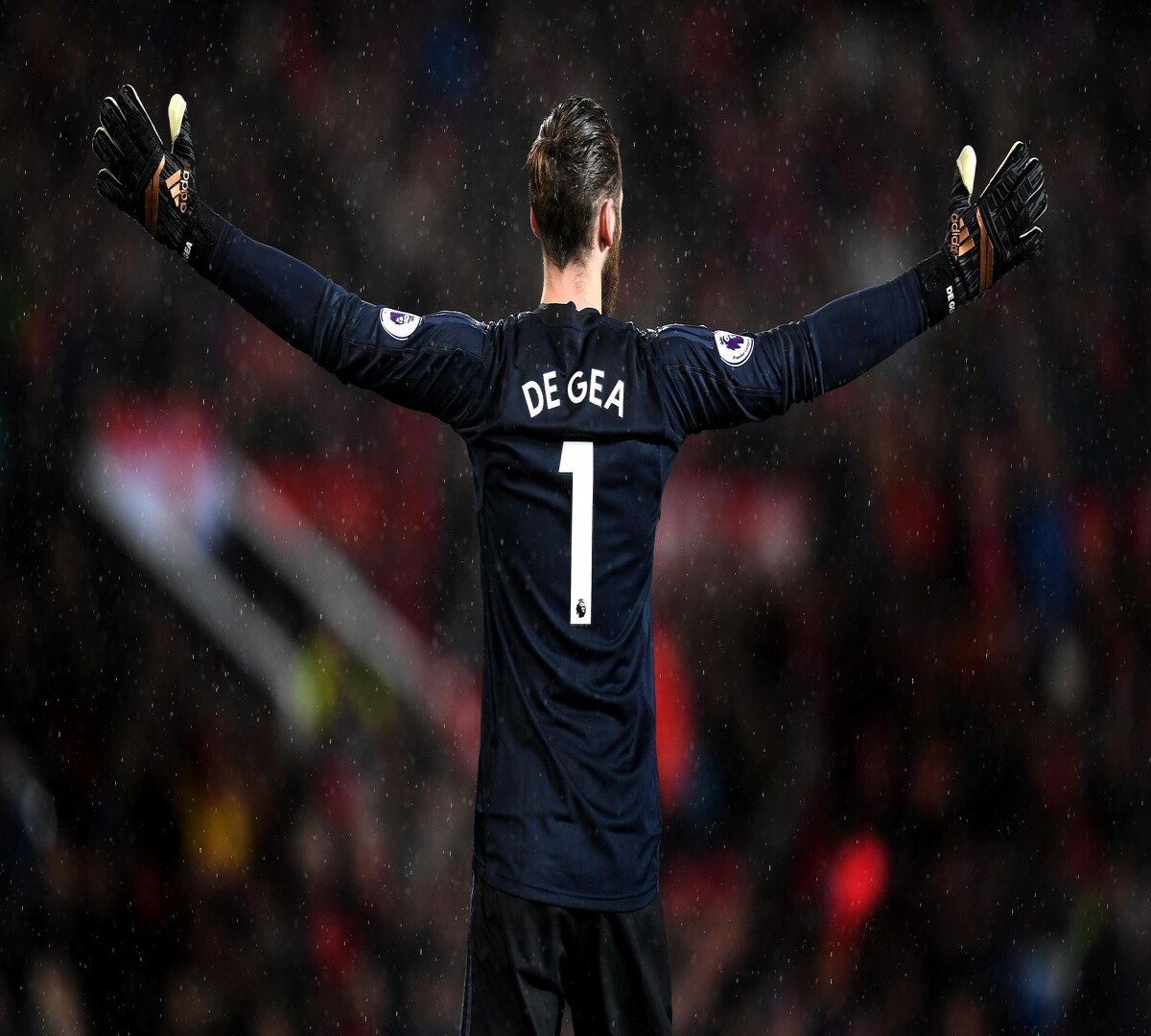 Image is my favourite goal keeper