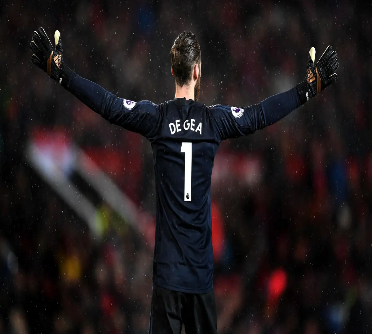 Image is my favourite goal keeper