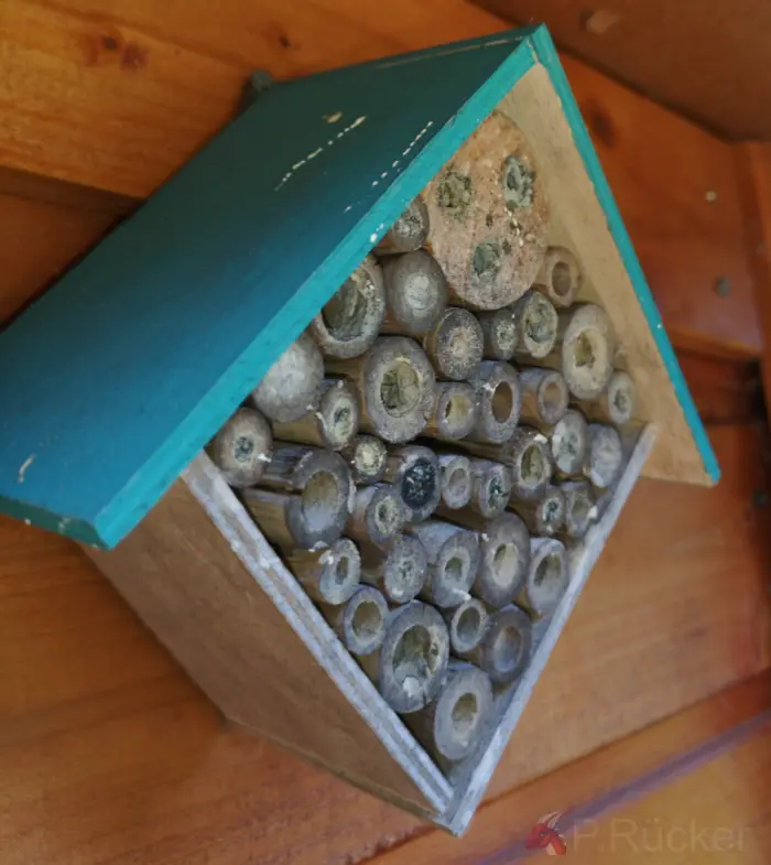 small purchased bee house