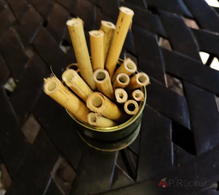 tin with bamboo-ticks