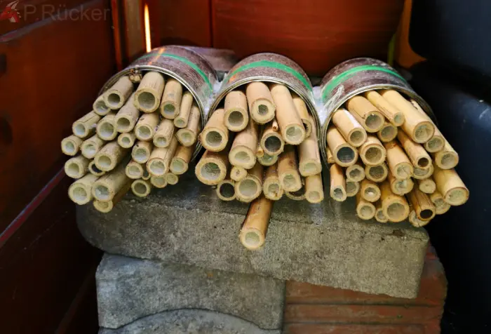 ready bee-houses