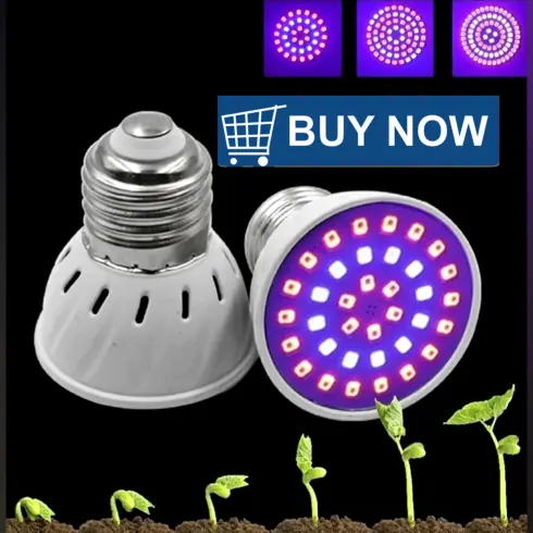 LED grow light