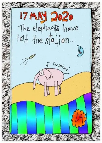 The Elephants...
