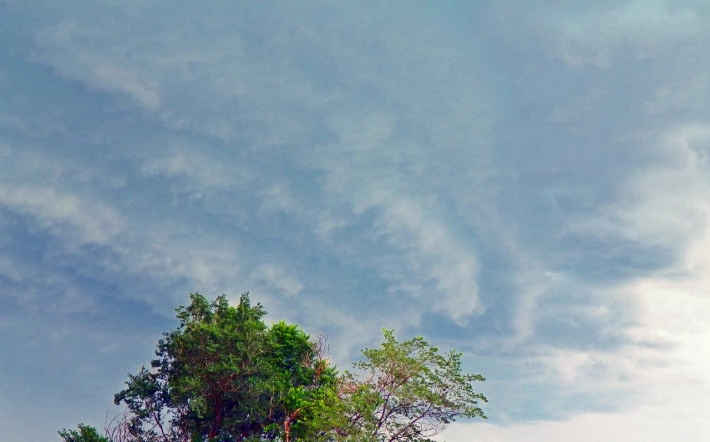 190903265-57c7ea61ca8604028dce814e5f4b146f525096fb307a768f8abacb8d2c8f7c0a.jpeg