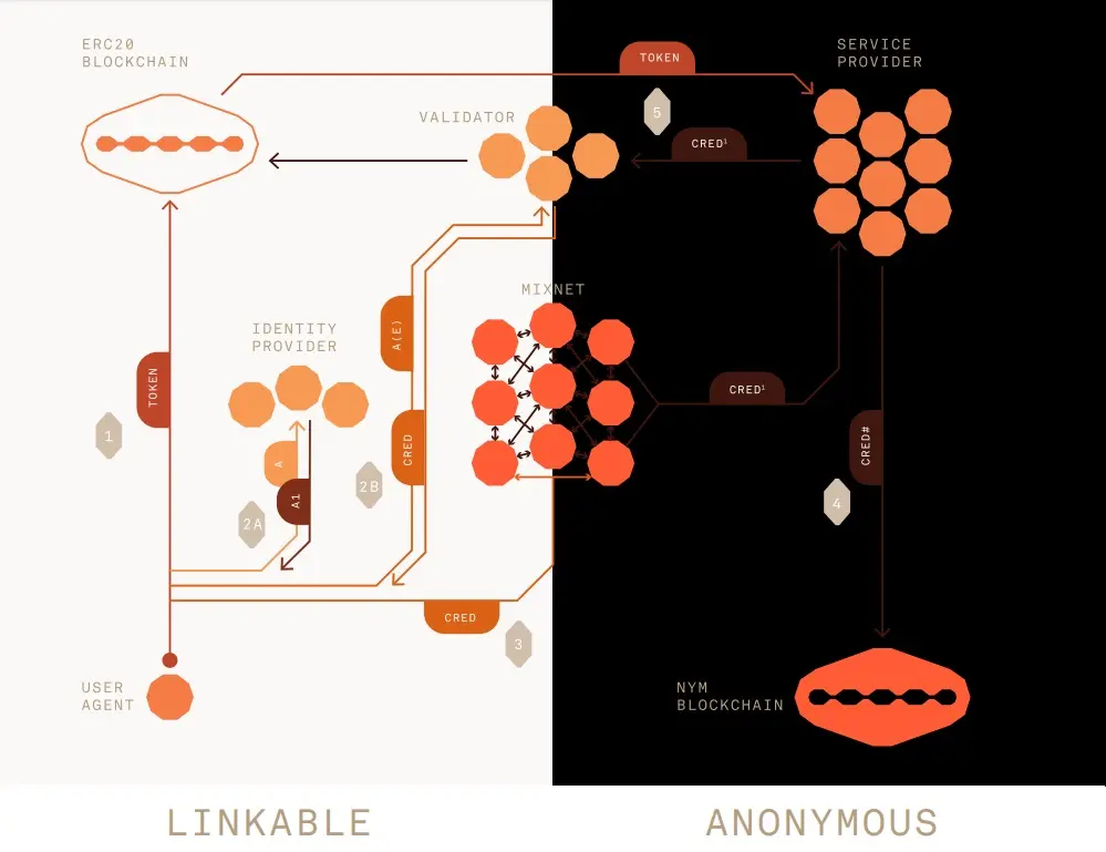 Nym Architecture — Information Flow