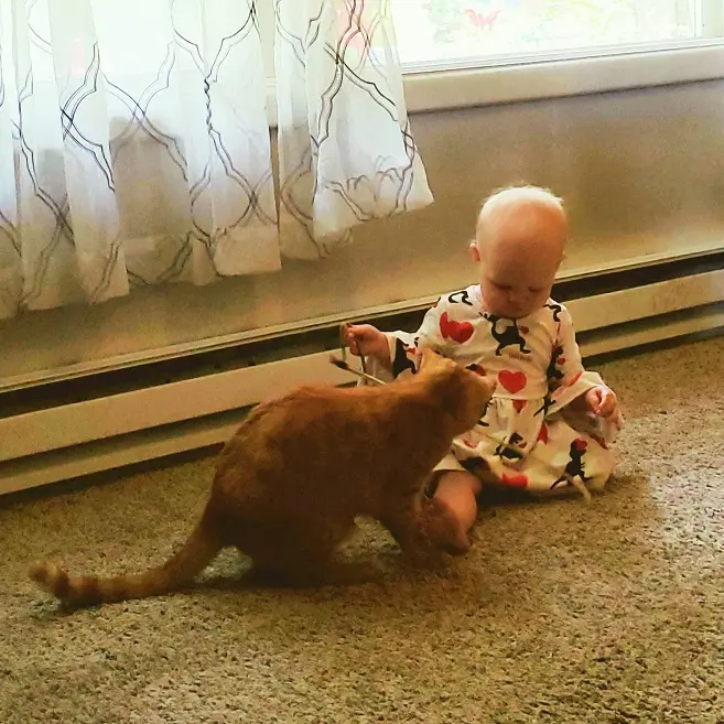 baby and cat