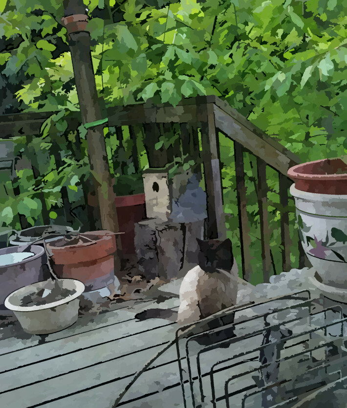 190903265-e04c8113d4007e4624cc5ef2b25a2385c35be838d34bfa73664a990ed2faa39b.jpeg