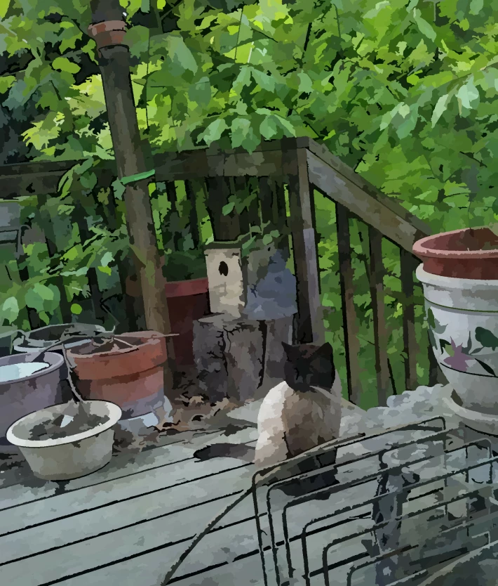 190903265-e04c8113d4007e4624cc5ef2b25a2385c35be838d34bfa73664a990ed2faa39b.jpeg