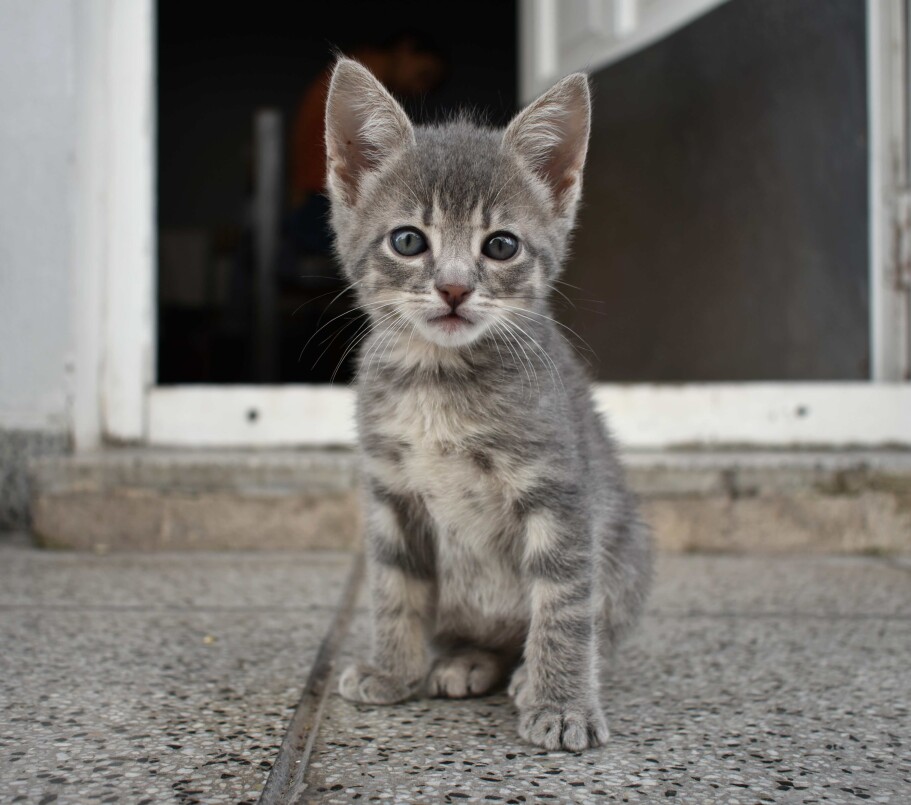 the fist day that we rescue him i take this photo