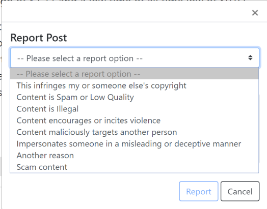 Report dialog