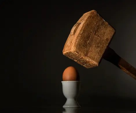 Egg doesn't fear the hammer...