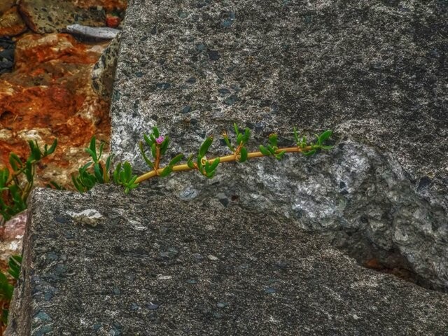 190903265-bf0b7fb6d9790c1c93e4ad18141d6bcdb834f1493609b9dfc1f4891962477c3c.jpeg