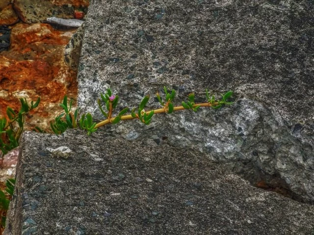190903265-bf0b7fb6d9790c1c93e4ad18141d6bcdb834f1493609b9dfc1f4891962477c3c.jpeg