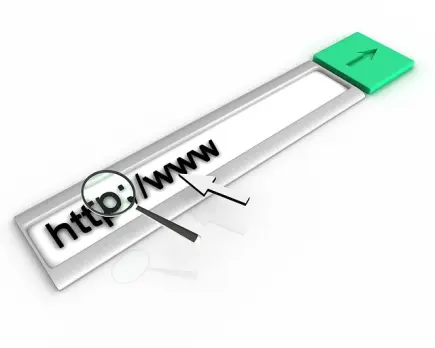 HTTP in a search bar.