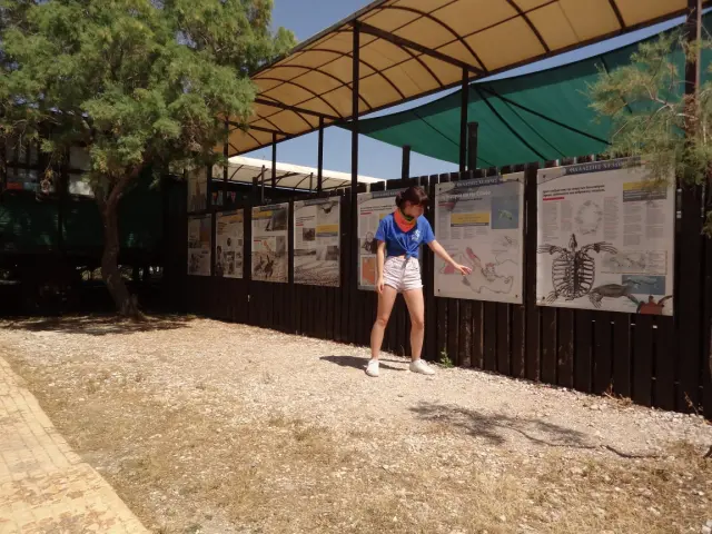 Glyfada - Sea Turtle Rescue Center - Guide