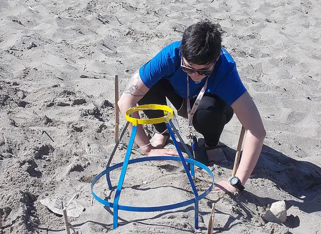 Zakinthos - Sea Turtle protection