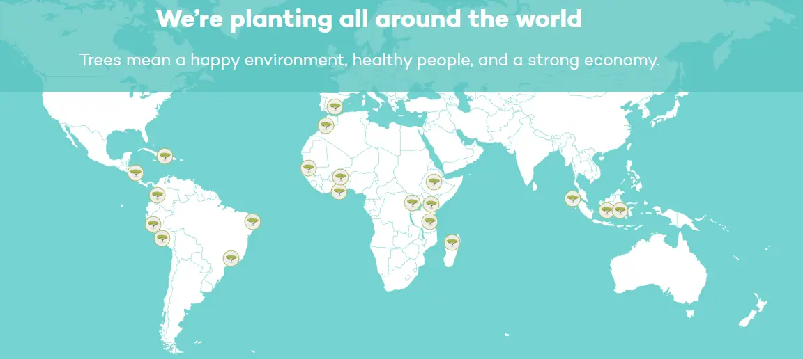 ecosia search engine