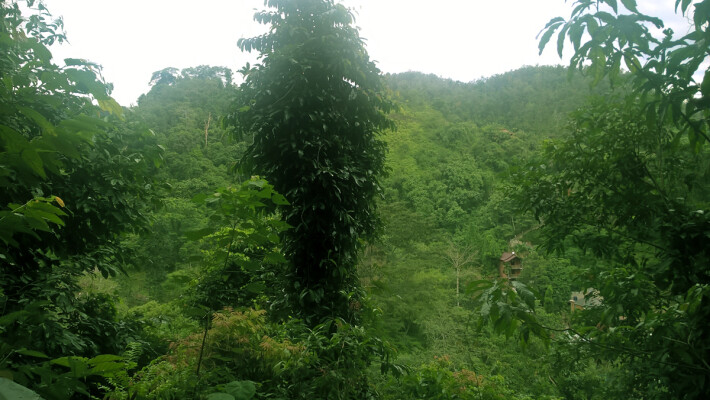 190903265-a8c9e433a6b35921872935358b4c93caac6d065dfebf81b0f3561dea970e7181.jpeg
