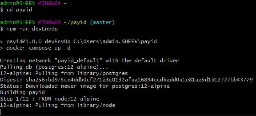 Starting the PayID server