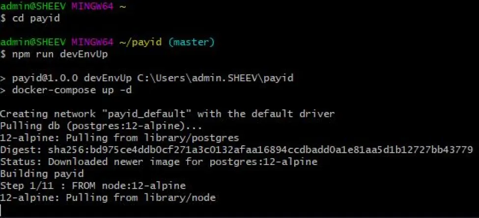 Starting the PayID server