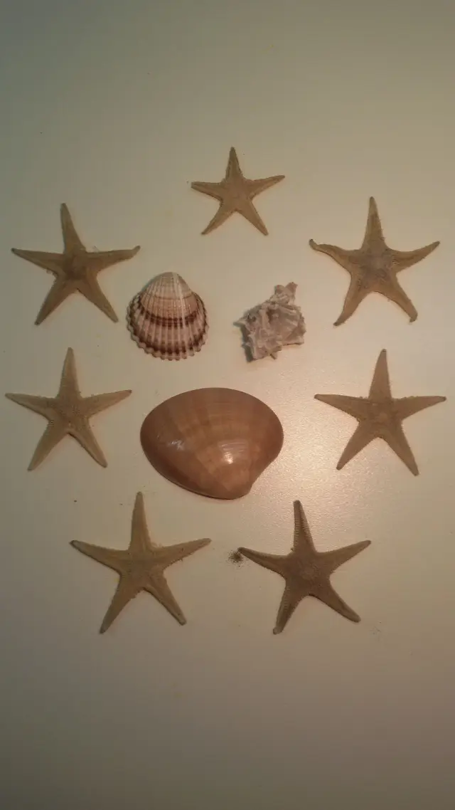 Around Athens - Kavouri - Beaches - Megalo Kavouri Beach - Stars