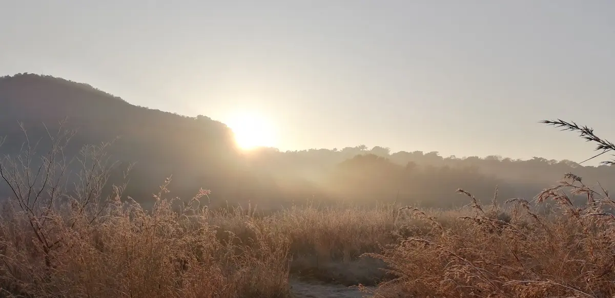 gorgeous sunrise