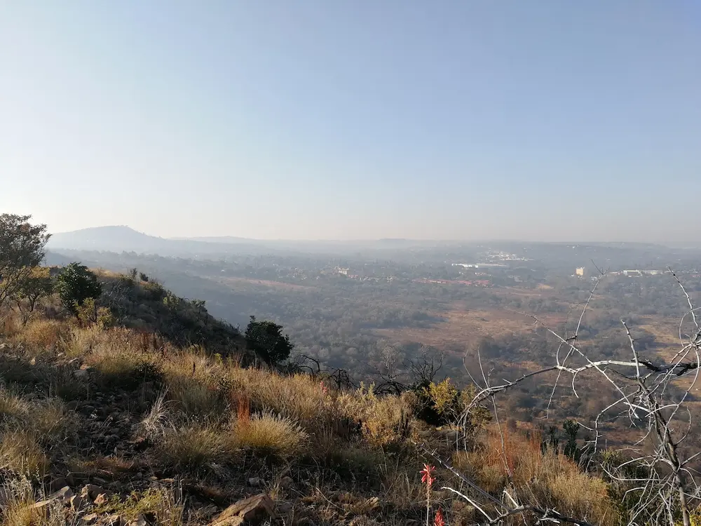 view from above